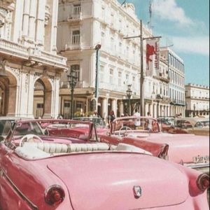 Meet your Posher, Avery